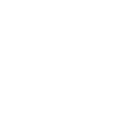 Юристы и консультанты